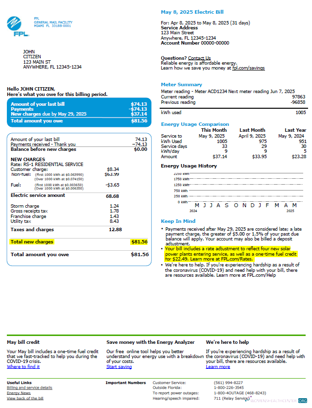 download download USA FPL utility bill template in Word and PDF formats, version 2 PDF template PDF template